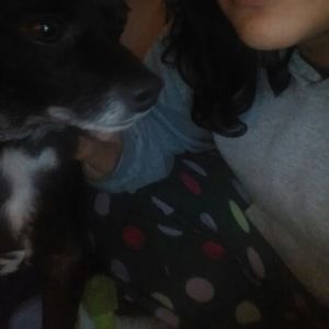 Meet your Posher, Ligia
